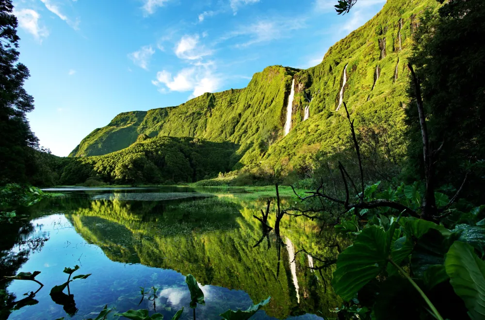 Poço da Ribeira do Ferreiro na ilha das Flores