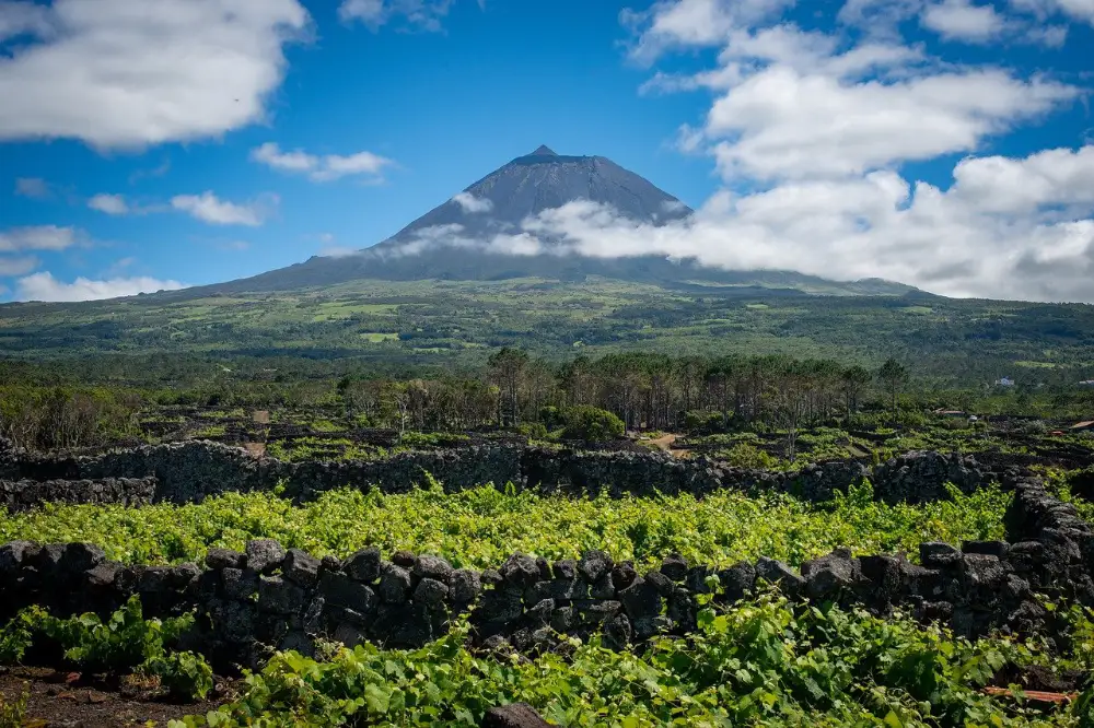 Visto do Pico e vinhas na Ilha do Pico