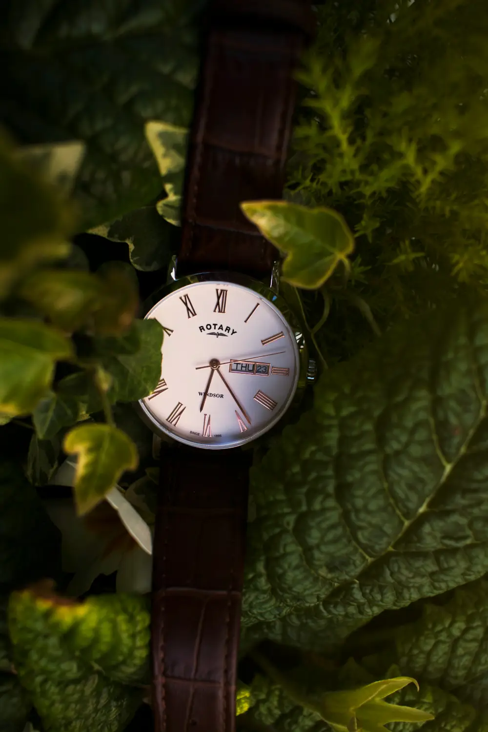 Classic analog clock in a middle of green leaves