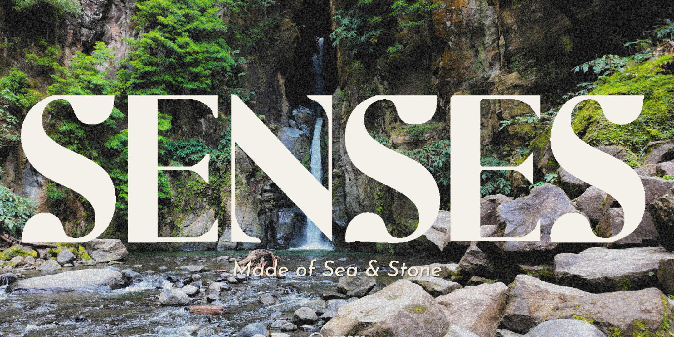 SENSES